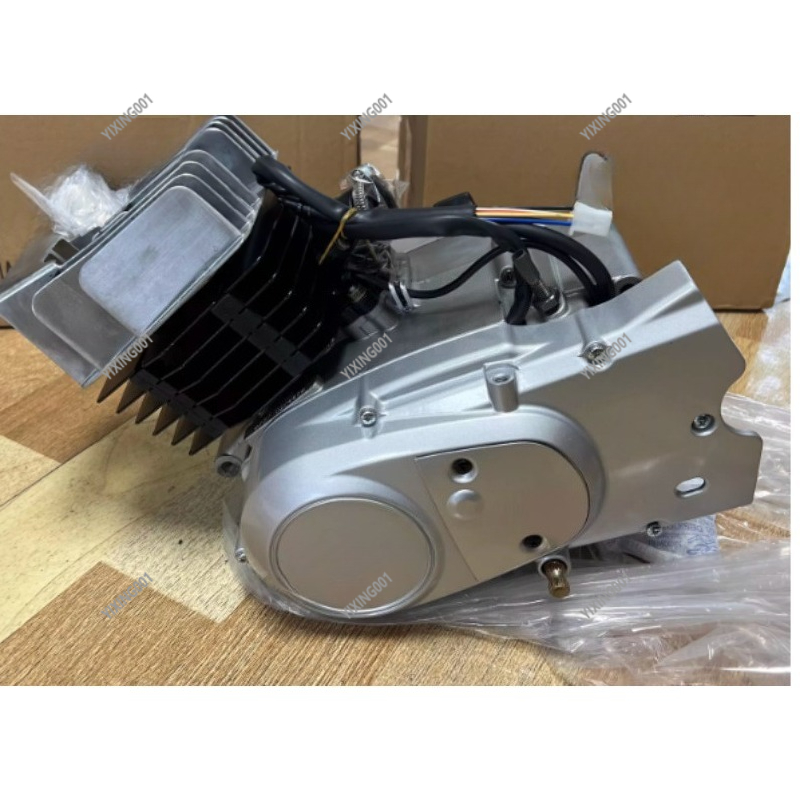 AX100 100cc 2-Takt Kompletter  – Engine Parts Motorcycle Bewertung und Preis